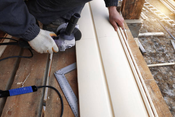 Best Vinyl Siding Installation  in Keystone Heights, FL