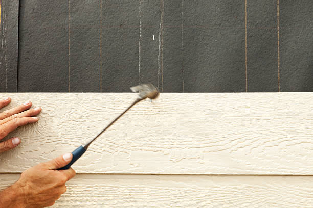Best Stucco Siding  in Keystone Heights, FL